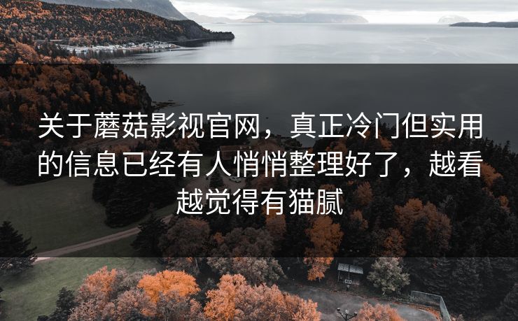 关于蘑菇影视官网，真正冷门但实用的信息已经有人悄悄整理好了，越看越觉得有猫腻