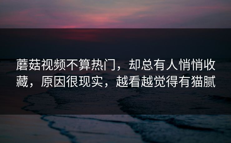 蘑菇视频不算热门，却总有人悄悄收藏，原因很现实，越看越觉得有猫腻