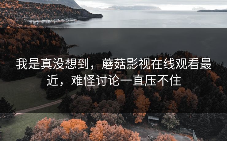 我是真没想到,蘑菇影视在线观看最近,难怪讨论一直压不住 我是真没想到,蘑菇影视在线观看最近,难怪讨论一直压不住