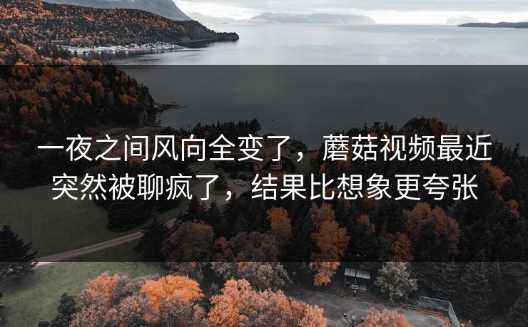 一夜之间风向全变了,蘑菇视频最近突然被聊疯了,结果比想象更夸张 一夜之间风向全变了,蘑菇视频最近突然被聊疯了,结果比想象更夸张
